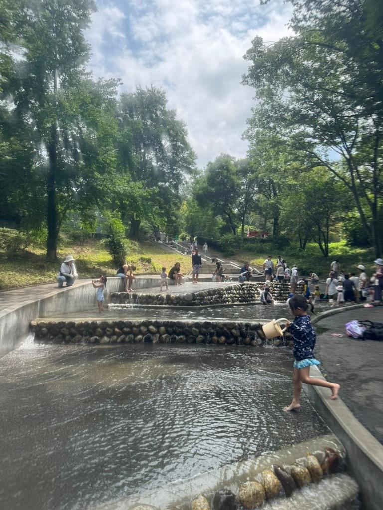 【3歳子連れ】国営武蔵丘陵森林公園の水遊び場へ｜西口駐車場の渋滞と場所取りのコツ