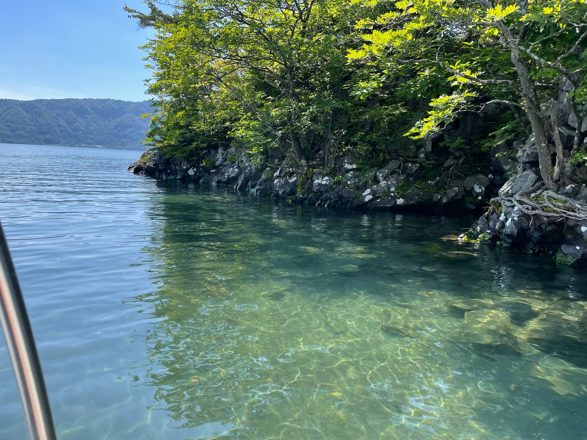 十和田湖のスワンボートから見た、透明な湖水と緑に覆われた岩岸