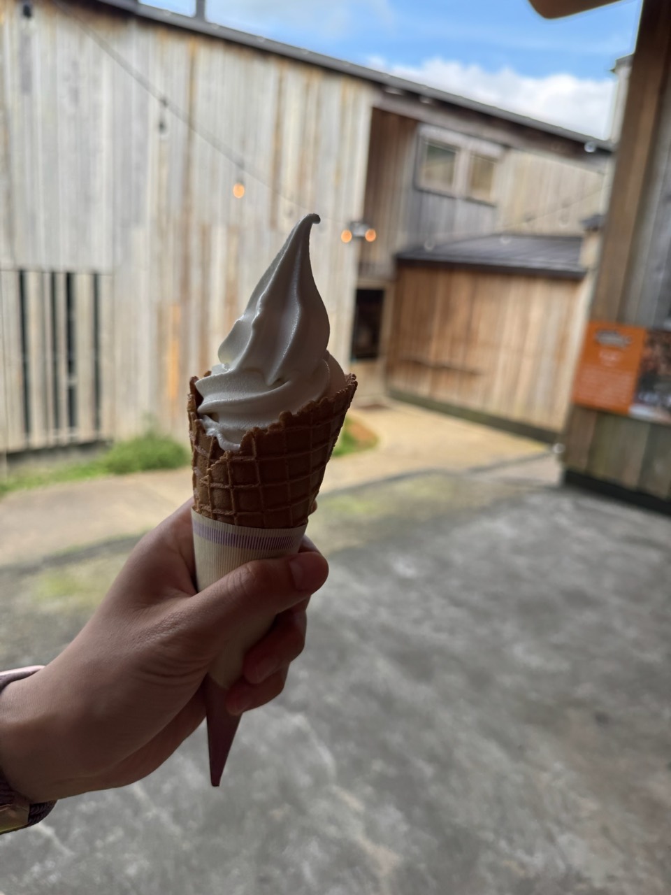 ワッフルコーンに盛られた濃い茶色のソフトクリーム