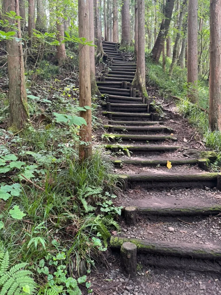 秋保大滝の滝つぼへ続く急な階段