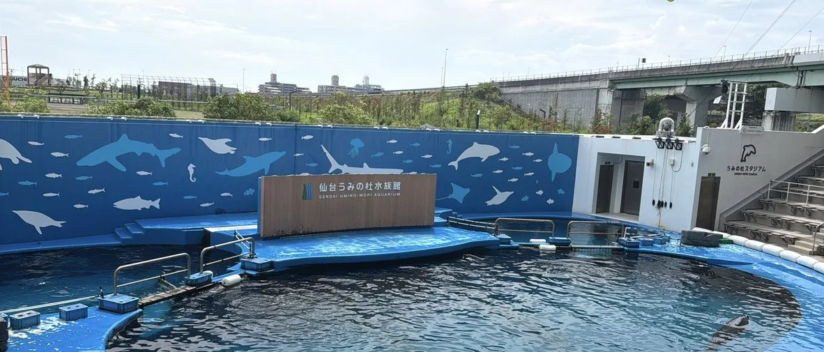 仙台うみの杜水族館のうみの杜スタジアムのプール