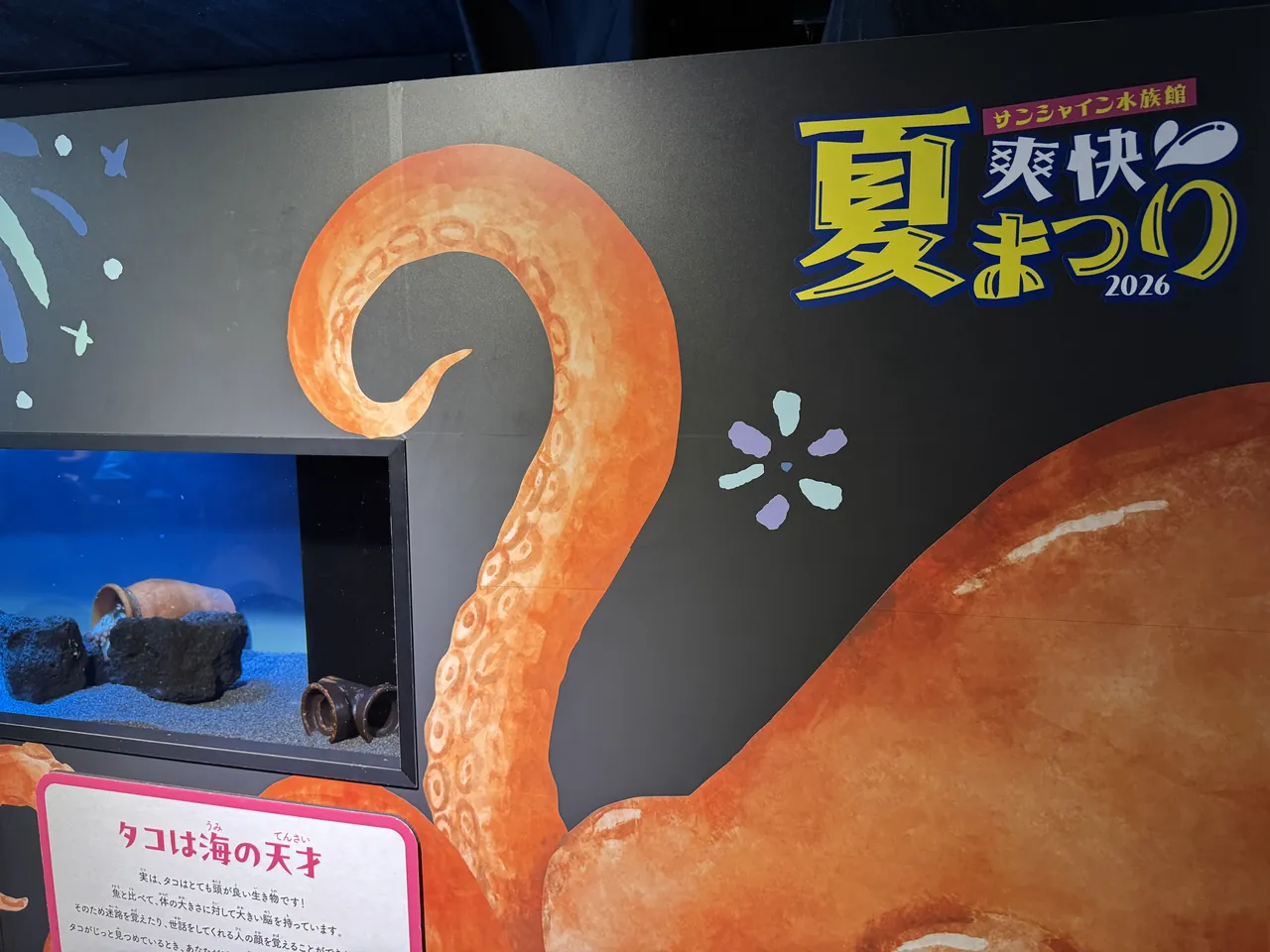 「サンシャイン水族館 爽快夏まつり2026」の大きなタコのイラストと、タコを展示する小さな水槽